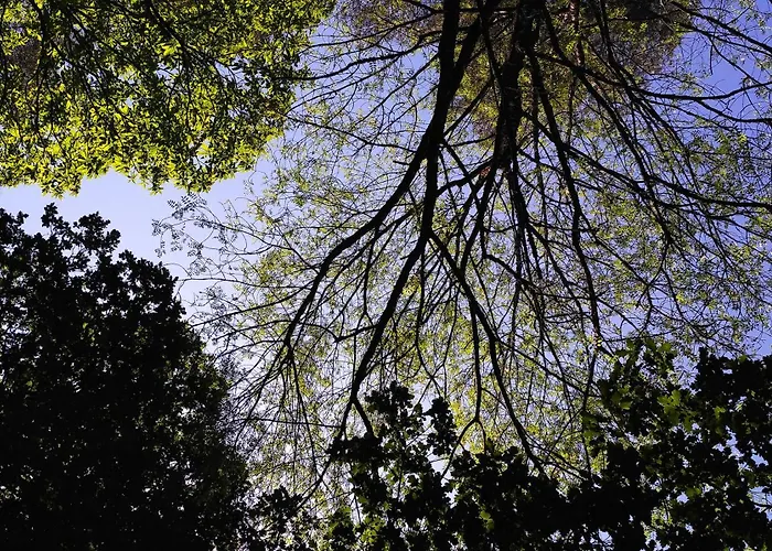 Casa O Cruceiro De Aguiar بيت ضيافة